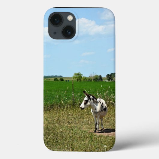 Donkey in een veld Case-Mate iPhone case (Achterkant)