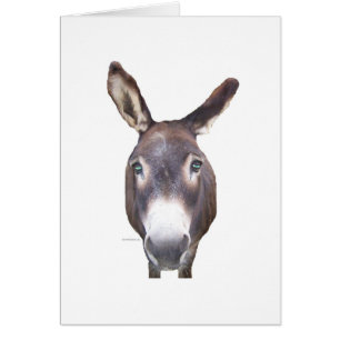 Donkey in je gezicht