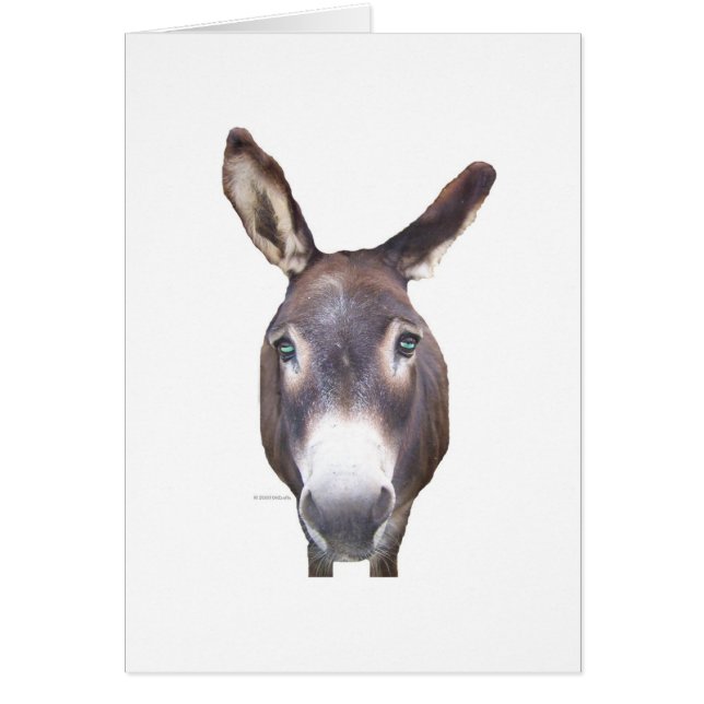 Donkey in je gezicht (Voorkant)
