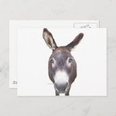 Donkey in je gezicht briefkaart (Voorkant / Achterkant)