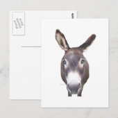 Donkey in je gezicht briefkaart (Voorkant / Achterkant)