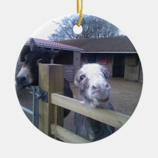 Donkey Keramisch Ornament (Voorkant)