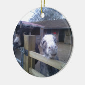 Donkey Keramisch Ornament (Links)