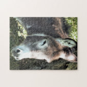 DONKEY LEGPUZZEL (Horizontaal)