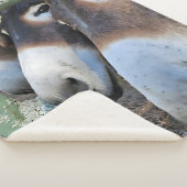 Donkey Love Sherpa Blanket Deken (3/4)