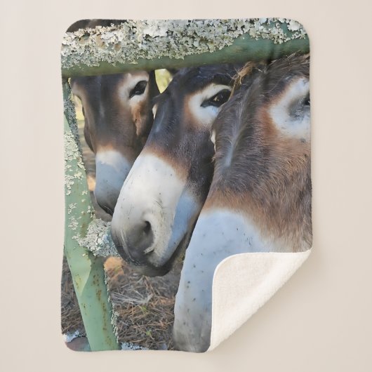 Donkey Love Sherpa Blanket Deken (Voorkant)