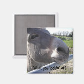 Donkey Magnet Magneet (Voorkant / Achterkant)