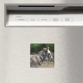 Donkey Magnet Magneet (Insitu (Vaatwasser))