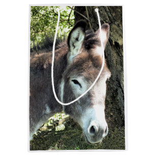 DONKEY MEDIUM CADEAUZAKJE