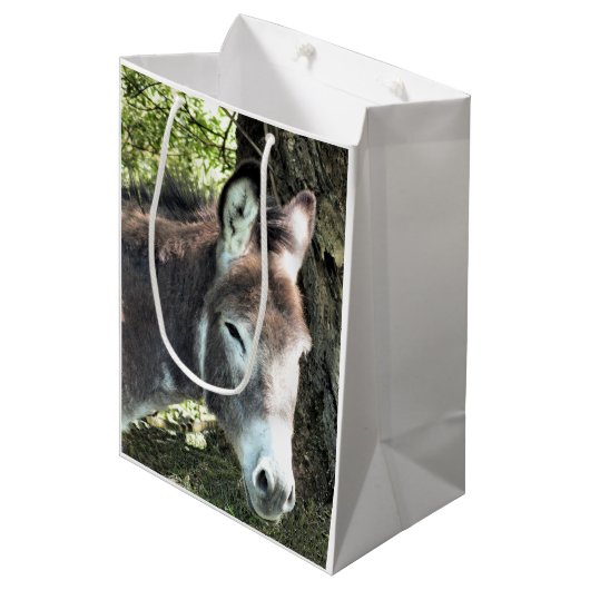 DONKEY MEDIUM CADEAUZAKJE (Voorkant Gekanteld)