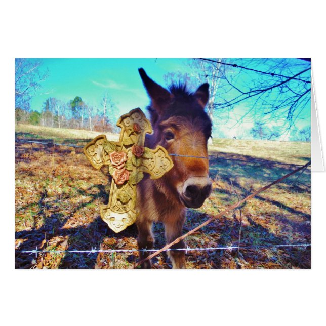 Donkey met Roos Cross (Voorkant Horizontaal)