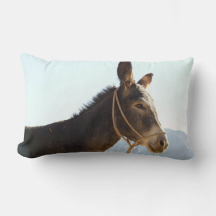 Donkey Mule Boerderij Animal Country Destiny Kussen