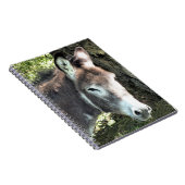 DONKEY NOTITIEBOEK (Rechterzijde)