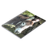 DONKEY NOTITIEBOEK (Linkerzijde)