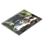 DONKEY NOTITIEBOEK (Linkerzijde)