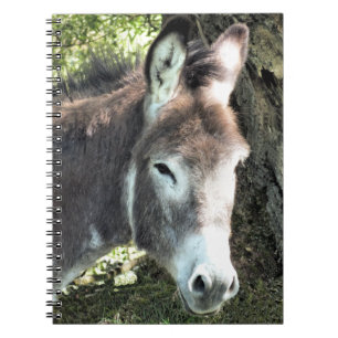 DONKEY NOTITIEBOEK