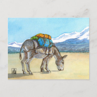 Donkey op High Plateau, Zuid-Amerika Briefkaart