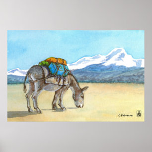 Donkey op High Plateau, Zuid-Amerika Poster