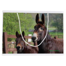 Donkey, Paard en een exclusieve cadeautas van Mule