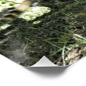 DONKEY PERFECT POSTER (Hoek)