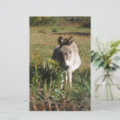 Donkey Picking Yellow Autumn Wildbloemen Briefpapier (Staand voorkant)