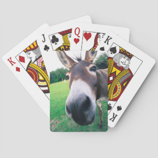 Donkey Pokerkaarten