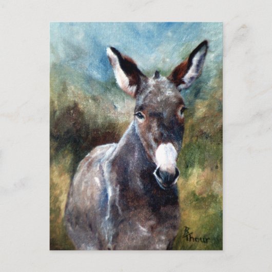 Donkey Portrait Briefkaart (Voorkant)