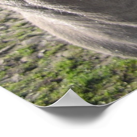 Donkey Poster (Hoek)