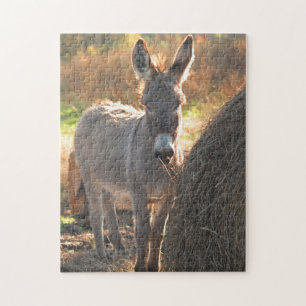 Donkey Puzzle Legpuzzel