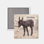 Donkey Refkoelkast Magnet Magneet (Voorkant / Achterkant)