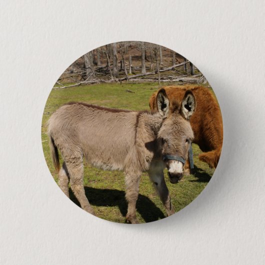 Donkey Ronde Button 5,7 Cm (Voorkant)