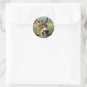 Donkey Ronde Sticker (Tas)
