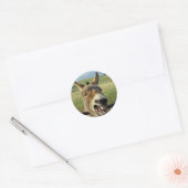 Donkey Ronde Sticker (Envelop)