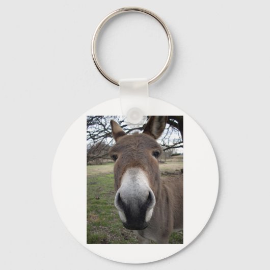 DONKEY SLEUTELHANGER (Voorkant)