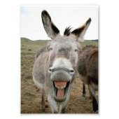 Donkey Smile Foto Afdruk (Voorkant)