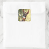 Donkey Stickers (Tas)