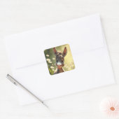 Donkey Stickers (Envelop)