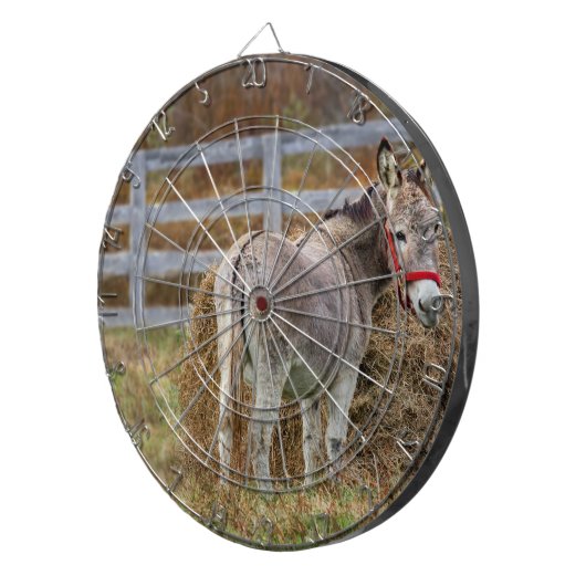 Donkey Tail Dartbord (Voorkant Rechts)