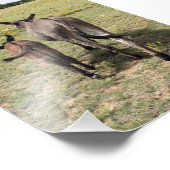 Donkey "Tales" Foto Afdruk (Hoek)