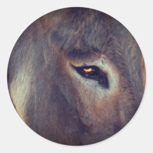Donkey Thoughts Animal Ronde Sticker