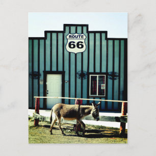 Donkey Town Oatman Arizona Aankondigingskaart