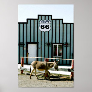 Donkey Town Oatman Arizona Poster