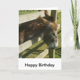 Donkey Verjaardag Groeten Kaart
