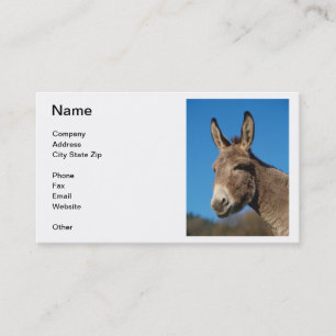Donkey Visitekaartje