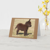 DONKEY ZEGT **MOOI BIRTHDAAG OP U** KAART (Gele Bloem)