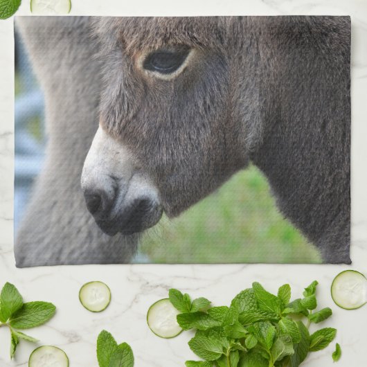 Donkeyfoaal Theedoek (Gevouwen)