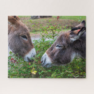 Donkeys, 520pcs legpuzzel