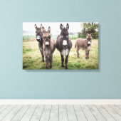 Donkeys Canvas Afdruk (Insitu (Houten vloer))