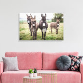 Donkeys Canvas Afdruk (Insitu (Woonkamer))