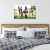 Donkeys Canvas Afdruk (Insitu (Slaapkamer))
